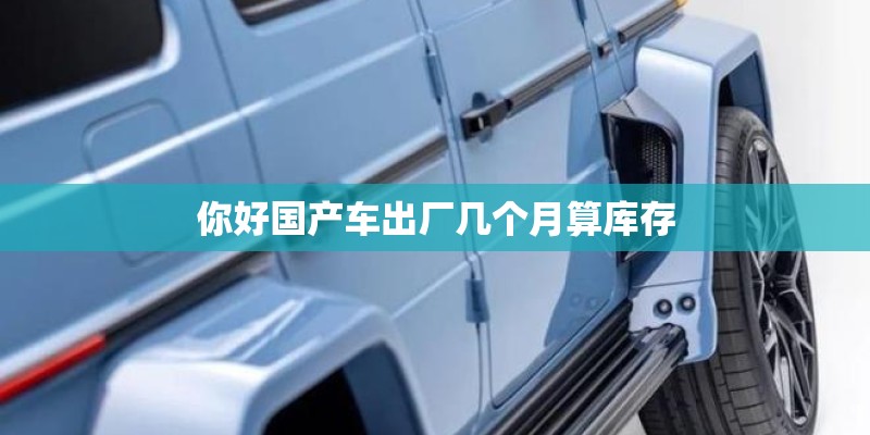 你好国产车出厂几个月算库存 你好国产车出厂几个月算库存