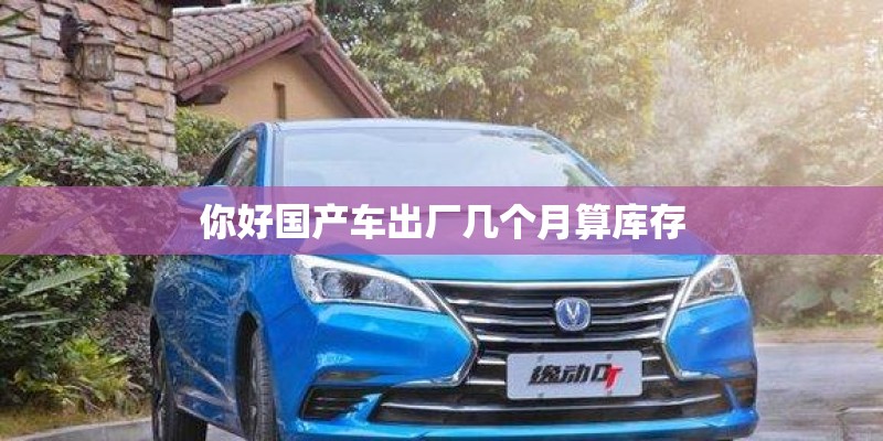 你好国产车出厂几个月算库存 你好国产车出厂几个月算库存