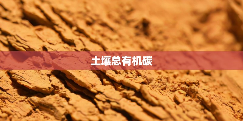土壤总有机碳 土壤总有机碳