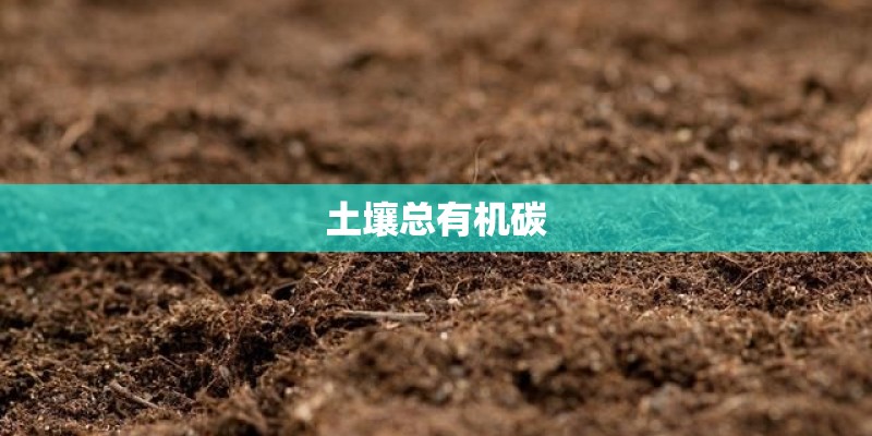 土壤总有机碳 土壤总有机碳