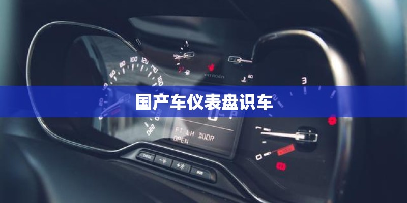 国产车仪表盘识车 国产车仪表盘识车