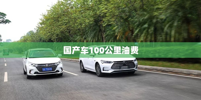 国产车100公里油费 国产车100公里油费