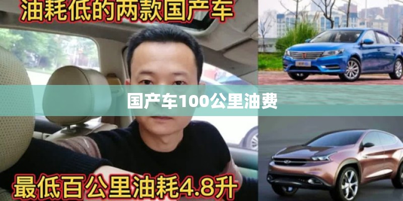 国产车100公里油费 国产车100公里油费