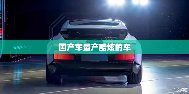 国产车量产酷炫的车