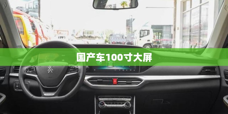 国产车100寸大屏