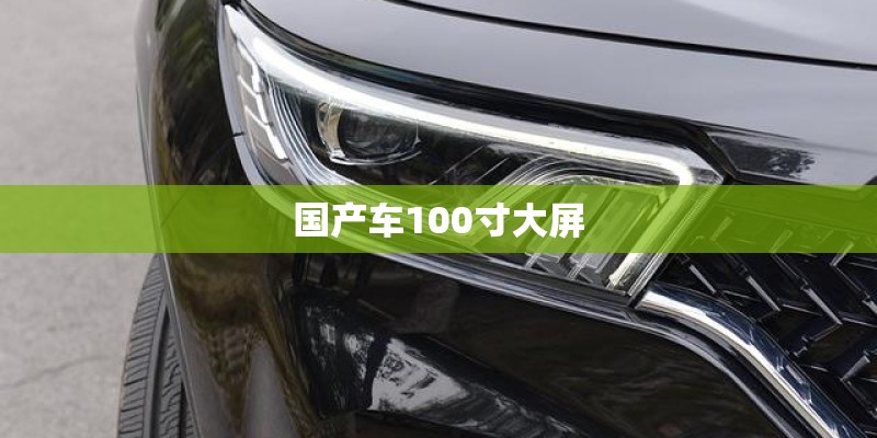 国产车100寸大屏 国产车100寸大屏