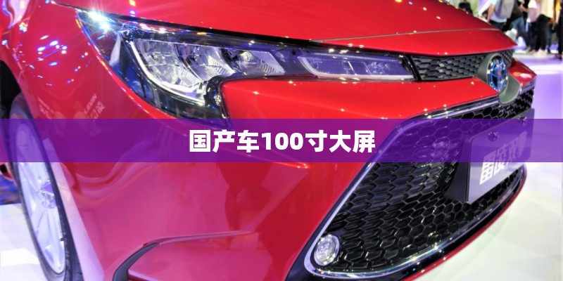国产车100寸大屏 国产车100寸大屏