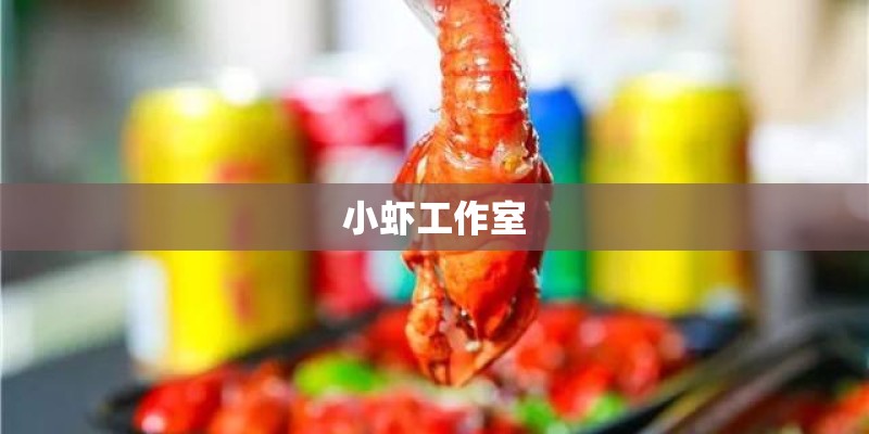 小虾工作室 小虾工作室