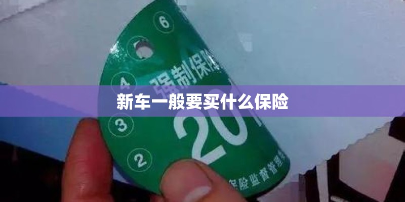 新车一般要买什么保险