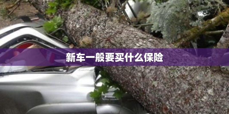 新车一般要买什么保险 新车一般要买什么保险