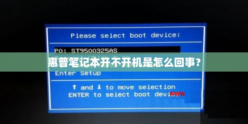 威玛猎犬怎么养 威玛猎犬喂养心得