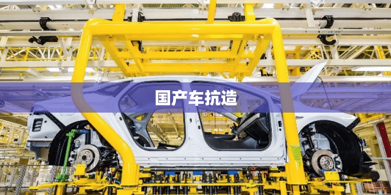 国产车抗造 国产车抗造