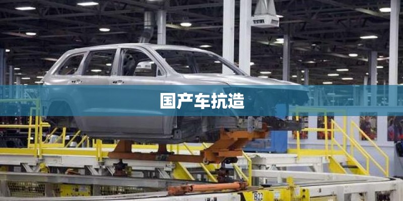 国产车抗造 国产车抗造