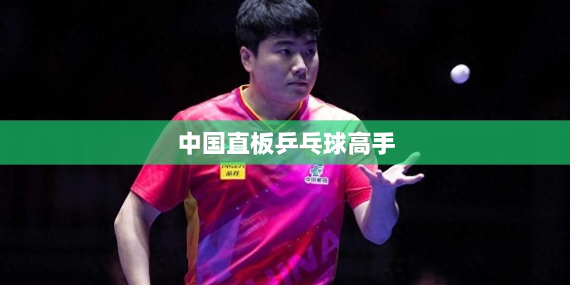 中国直板乒乓球高手