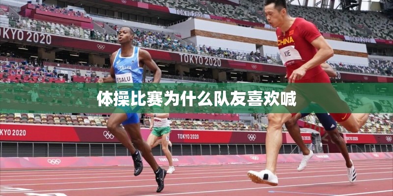 十大名牌老年四轮代步车 十大名牌老年四轮代步车
