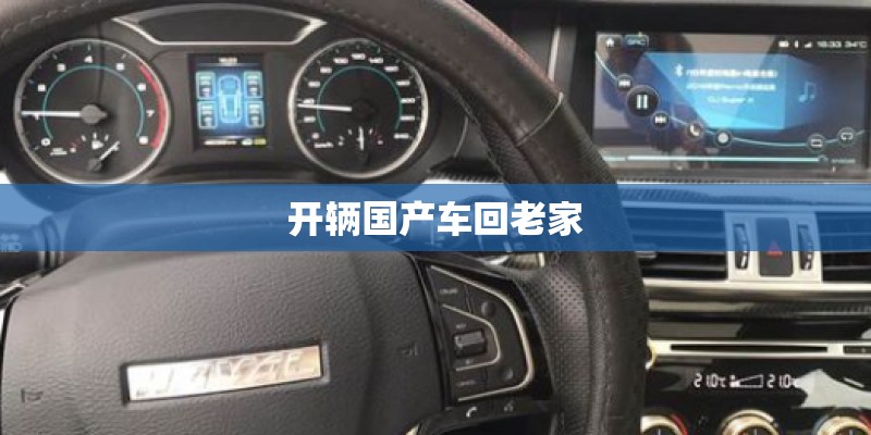 开辆国产车回老家