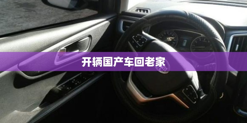 开辆国产车回老家