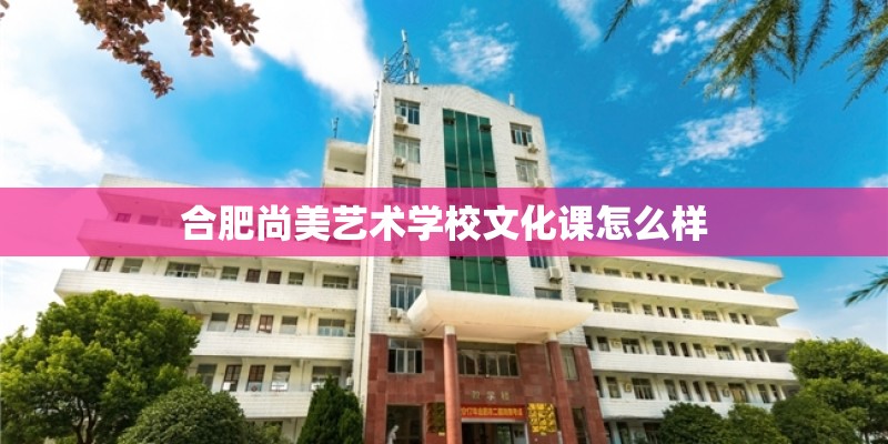 合肥尚美艺术学校文化课怎么样