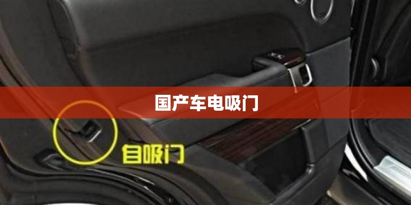 国产车电吸门