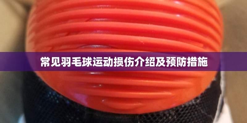 常见羽毛球运动损伤介绍及预防措施