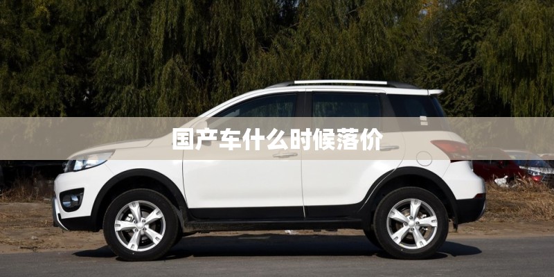 国产车什么时候落价