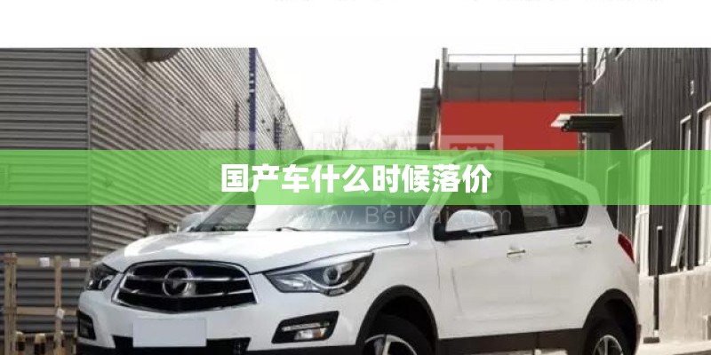 国产车什么时候落价