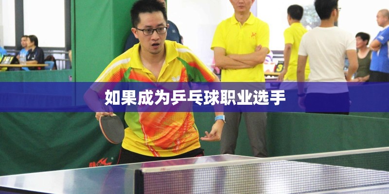 如果成为乒乓球职业选手 如果成为乒乓球职业选手