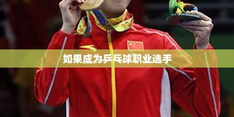 如果成为乒乓球职业选手 如果成为乒乓球职业选手