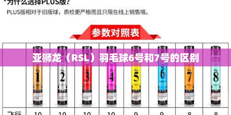 亚狮龙(RSL)羽毛球6号和7号的区别 亚狮龙(RSL)羽毛球6号和7号的区别