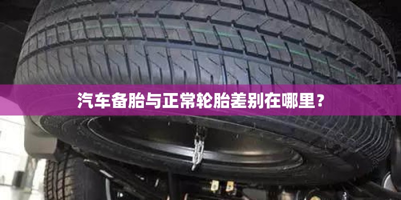 草坪建植的方法有籽播、喷播、植生带、铺植都分别是什么意思啊? 草坪建植的方法有籽播、喷播、植生带、铺植都分别是什么意思啊?