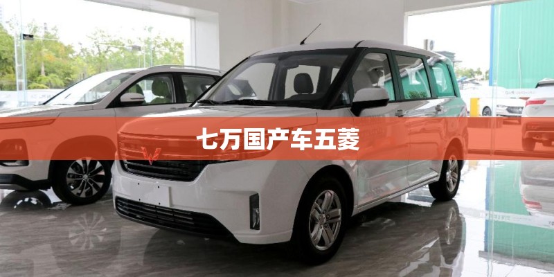 七万国产车五菱