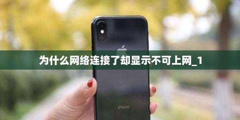 为什么网络连接了却显示不可上网_1