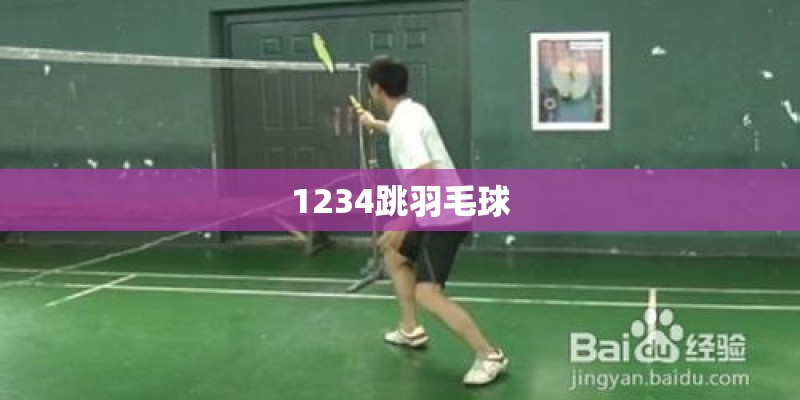 1234跳羽毛球 1234跳羽毛球