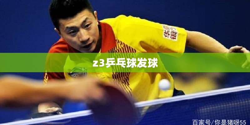 z3乒乓球发球 z3乒乓球发球
