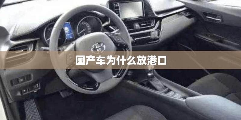 国产车为什么放港口