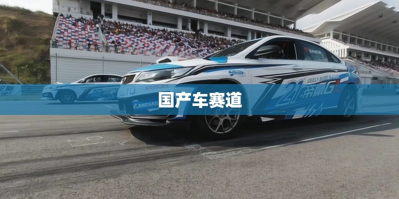 国产车赛道