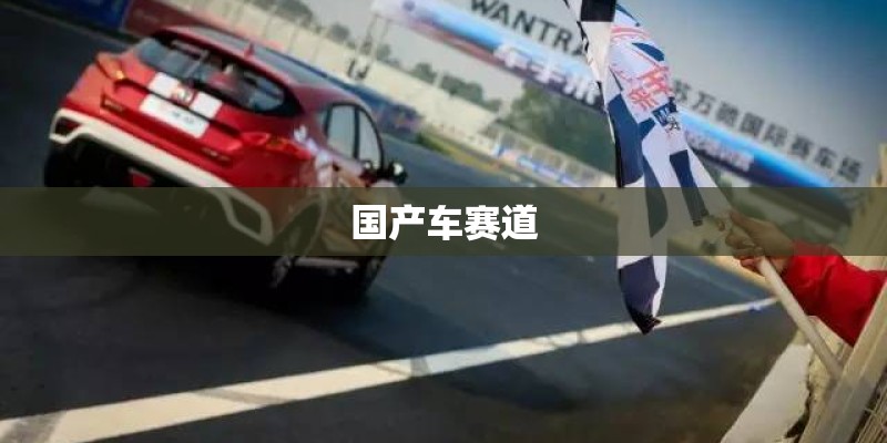 国产车赛道