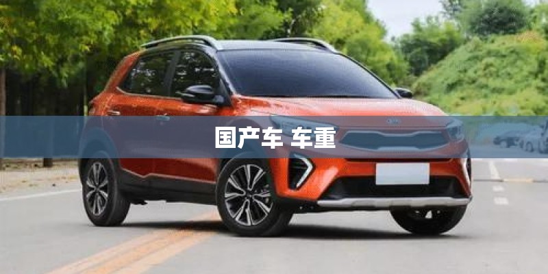 国产车 车重
