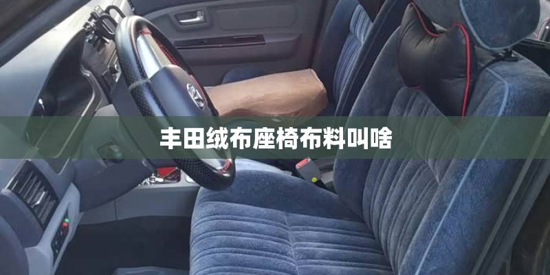 丰田绒布座椅布料叫啥 丰田绒布座椅布料叫啥