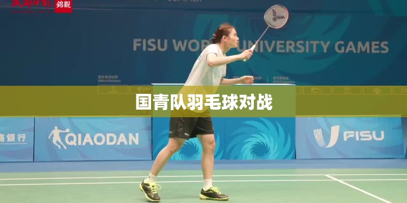 国青队羽毛球对战