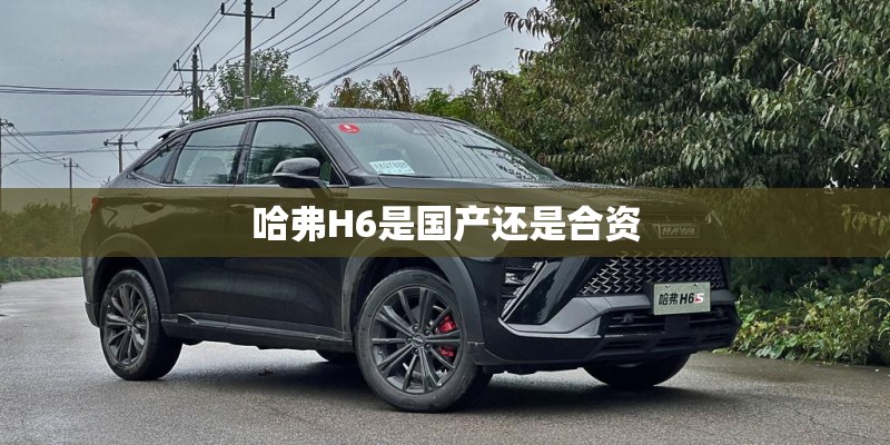 哈弗H6是国产还是合资