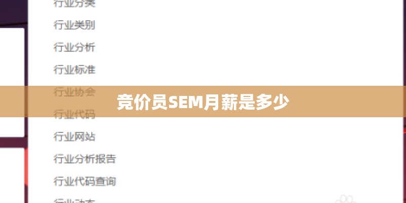 竞价员SEM月薪是多少