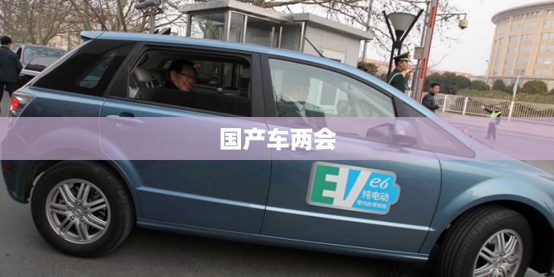 国产车两会