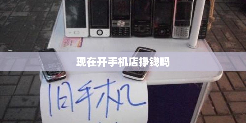 现在开手机店挣钱吗