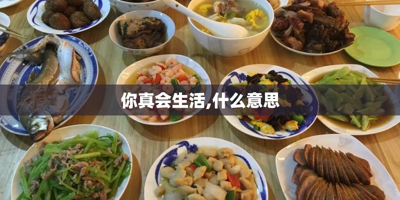 你真会生活,什么意思