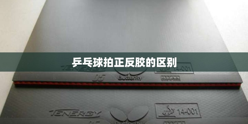 乒乓球拍正反胶的区别