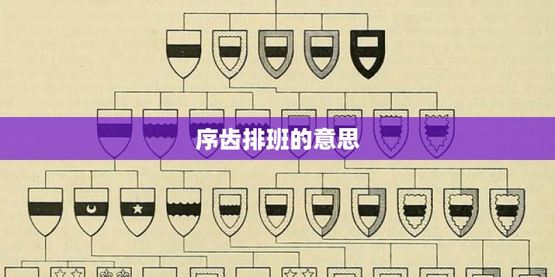 序齿排班的意思