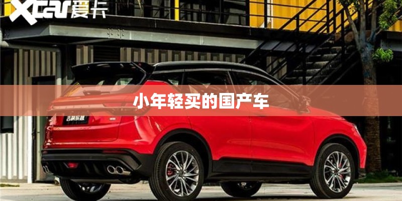 小年轻买的国产车