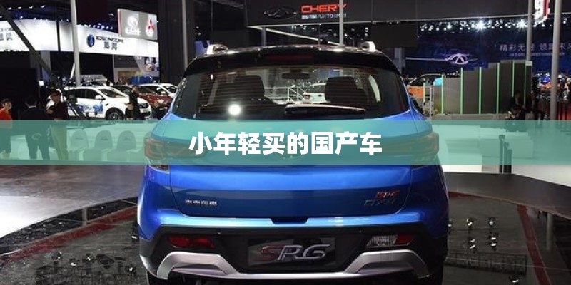 小年轻买的国产车