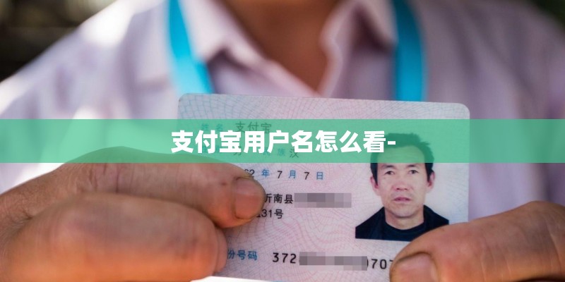 支付宝用户名怎么看-